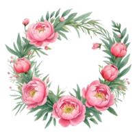 AI generated watercolor peony flowers on transparent background png