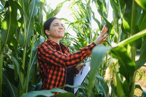 Young female farmer working in the field and checking plants, agriculture and healthy living concept photo