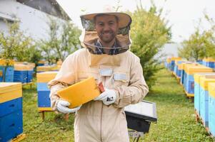 apicultor es trabajando con abejas y colmenas en colmenar. abejas en panal. marcos de abeja colmena. apicultura. Miel. sano alimento. natural productos foto