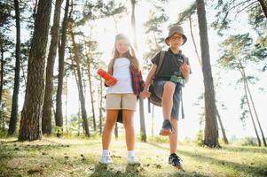 pequeño chico y niña Vamos excursionismo en un bosque la carretera foto