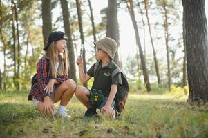 niños exploradores en el bosque. foto