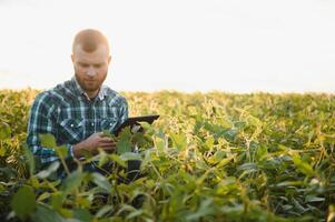 Young agronomist holds tablet touch pad computer in the soy field and examining crops before harvesting. Agribusiness concept. agricultural engineer standing in a soy field with a tablet in summer. photo