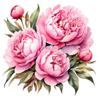 ai généré aquarelle pivoine fleur illustration, transparent Contexte png