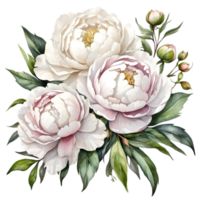 ai généré aquarelle pivoine fleur illustration, transparent Contexte png