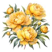 AI generated watercolor peony flower illustration, transparent background png