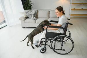 Young woman in wheelchair with dog indoors photo