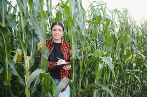 Agronomist farmer woman in corn field. female farm worker analyzing crop development. photo