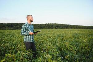 Young agronomist holds tablet touch pad computer in the soy field and examining crops before harvesting. Agribusiness concept. agricultural engineer standing in a soy field with a tablet in summer. photo