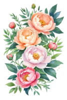 ai genererad vattenfärg pion blomma illustration, transparent bakgrund png