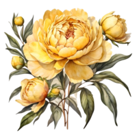 AI generated watercolor peony flower illustration, transparent background png