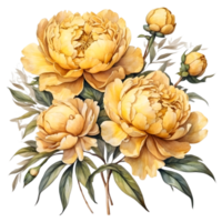 AI generated watercolor peony flower illustration, transparent background png