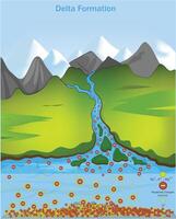 delta formación a el río boca por el coagulación de el partícula en presencia de electrólito desde salina agua vector