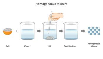 Homogeneous mixture is Uniform blend of substances, consistent in composition throughout vector