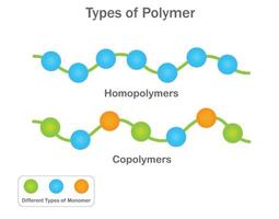 Homopolymers use identical monomers, copolymers combine different ones for varied properties vector