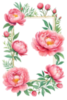 AI generated watercolor pink peony flowers png and transparent