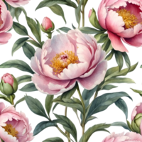 AI generated watercolor pink peony flowers png and transparent