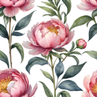 AI generated watercolor pink peony flowers png and transparent