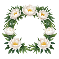 AI generated white peony flowers wreath on transparent background png