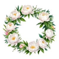 AI generated white peony flowers wreath on transparent background png