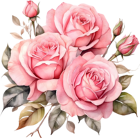 AI generated watercolor painting of roses on transparent background png