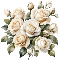 AI generated watercolor white roses on transparent background png