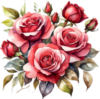 AI generated watercolor painting of roses on transparent background png