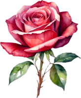 AI generated watercolor rose clipart png