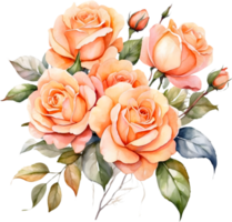 AI generated watercolor painting of roses on transparent background png