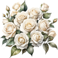 ai généré aquarelle blanc des roses sur transparent Contexte png