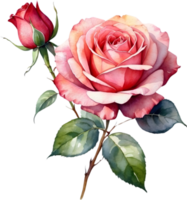 ai generado acuarela Rosa clipart png