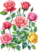 AI generated watercolor roses on transparent background png
