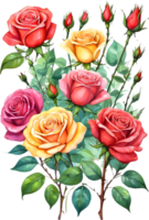 ai généré aquarelle des roses sur transparent Contexte png