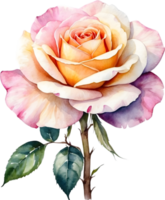 AI generated watercolor roses on transparent background png