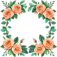 AI generated watercolor Orange roses  on transparent background png