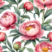 ai gegenereerd waterverf roze pioen bloemen PNG en transparant