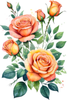 AI generated watercolor Orange roses  on transparent background png