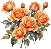 AI generated orange roses on transparent background png