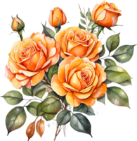 AI generated orange roses on transparent background png