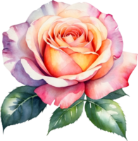 AI generated watercolor rose wreath png