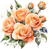 AI generated orange roses on transparent background png