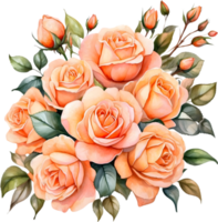 AI generated orange roses on transparent background png