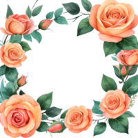 AI generated watercolor Orange roses  on transparent background png