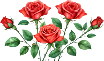 AI generated watercolor red roses png