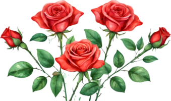 ai generado acuarela rojo rosas png