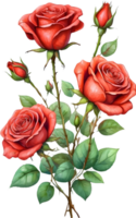 AI generated watercolor red roses png