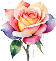AI generated watercolor rose wreath png