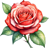 ai généré aquarelle rouge des roses png