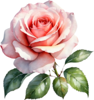 AI generated watercolor red roses png