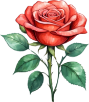 ai generado acuarela rojo rosas png