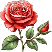 ai généré aquarelle rouge des roses png